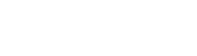 FluidSoft — Infinite Solutions
